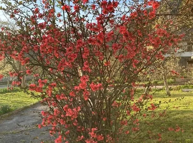 самостоятелни в балкан 3*